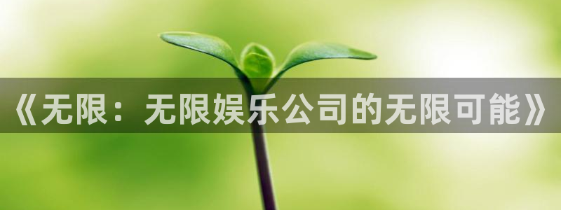 卧龙娱乐怎么样：《无限：无限娱乐公司的无限可能》