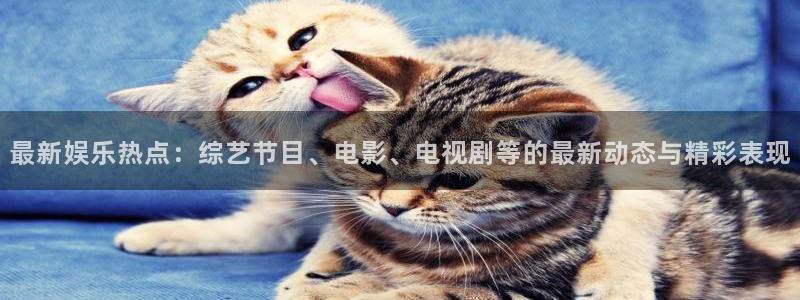 卧龙娱乐：最新娱乐热点：综艺节目、电影、电视剧等的最新动态与精彩表现