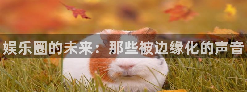 卧龙娱乐登录入口：娱乐圈的未来：那些被边缘化的声音