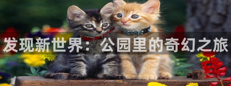 卧龙娱乐登录入口：发现新世界：公园里的奇幻之旅