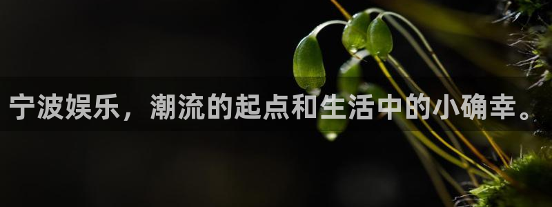 卧龙娱乐：宁波娱乐，潮流的起点和生活中的小确幸。