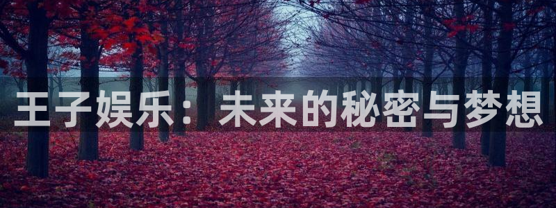 卧龙娱乐登录入口：王子娱乐：未来的秘密与梦想