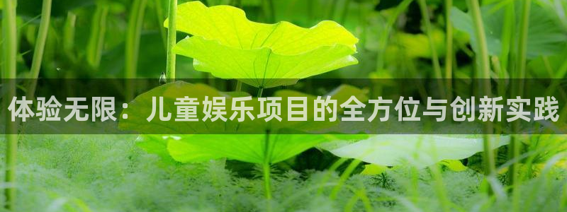 卧龙娱乐怎么样：体验无限：儿童娱乐项目的全方位与创新实践