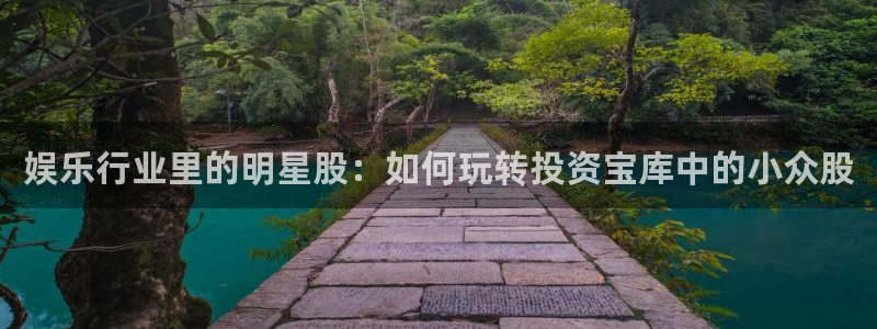卧龙娱乐登录入口：娱乐行业里的明星股：如何玩转投资宝库中的小众股