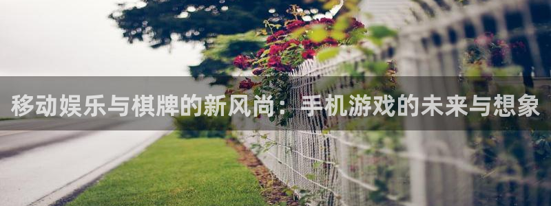 卧龙娱乐登录入口：移动娱乐与棋牌的新风尚：手机游戏的未来与想象
