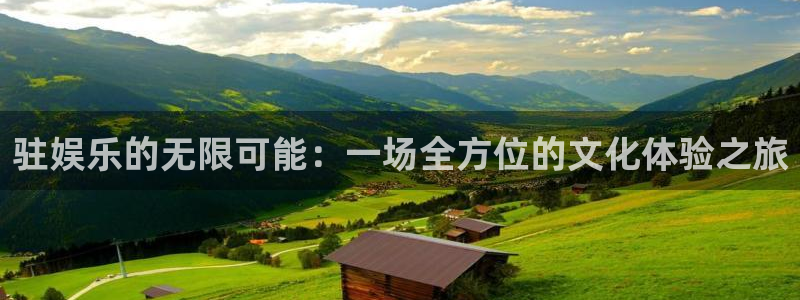 卧龙娱乐：驻娱乐的无限可能：一场全方位的文化体验之旅