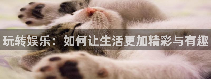 卧龙娱乐：玩转娱乐：如何让生活更加精彩与有趣