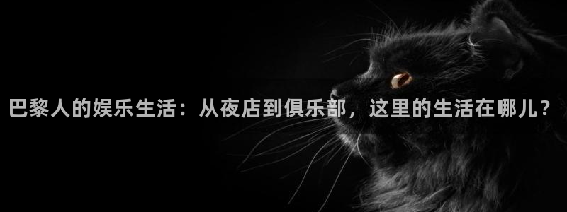 卧龙娱乐：巴黎人的娱乐生活：从夜店到俱乐部，这里的生活在哪儿？