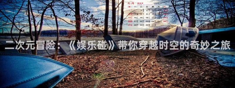 卧龙娱乐登录入口：二次元冒险：《娱乐碰》带你穿越时空的奇妙之旅