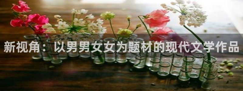 卧龙娱乐怎么样：新视角：以男男女女为题材的现代文学作品