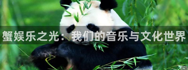 卧龙娱乐怎么样：蟹娱乐之光：我们的音乐与文化世界